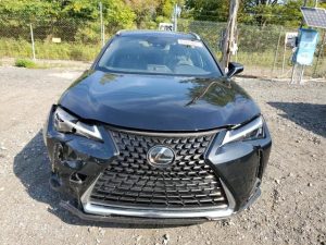 Auction Photos