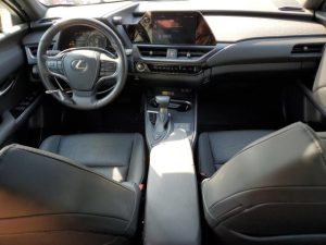 Auction Photos