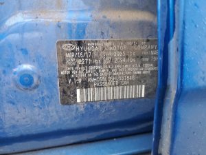 Auction Photos