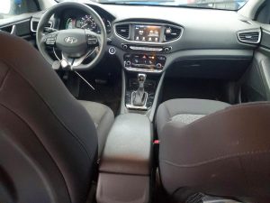Auction Photos