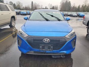 Auction Photos