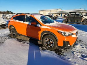 Auction Photos