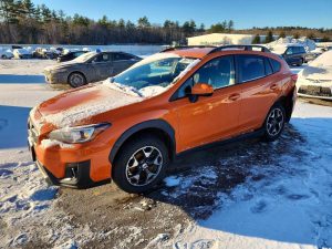 Auction Photos