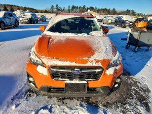 Auction Photos