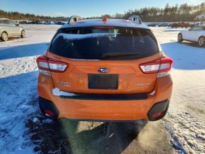 Auction Photos