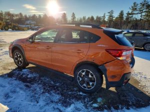 Auction Photos
