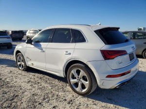 Auction Photos
