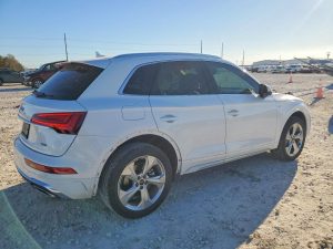 Auction Photos