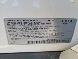 Auction Photos