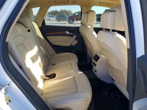 Auction Photos