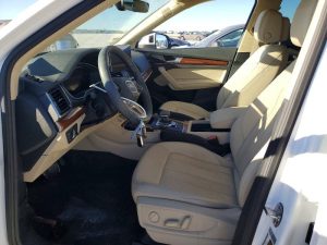 Auction Photos