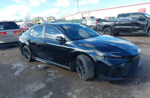 Auction Photos