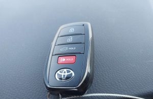 Auction Photos