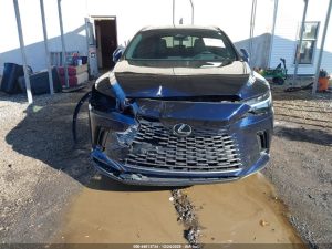 Auction Photos