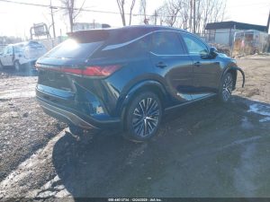 Auction Photos