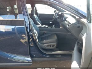Auction Photos
