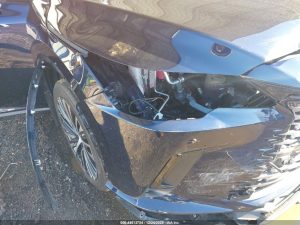 Auction Photos