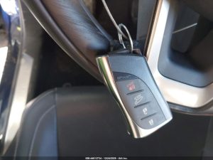 Auction Photos