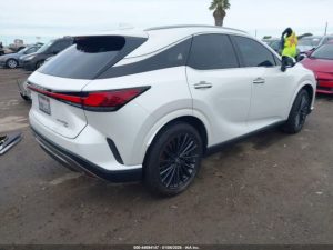 Auction Photos