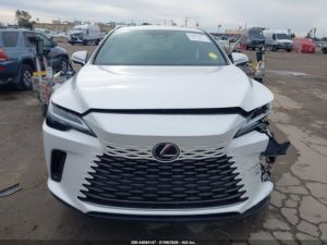 Auction Photos