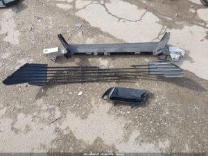 Auction Photos