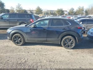 Auction Photos