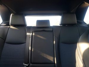 Auction Photos