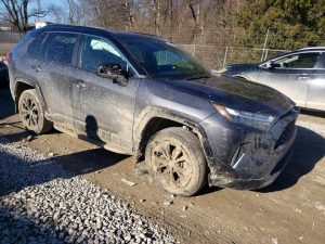 Auction Photos