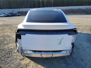 Auction Photos