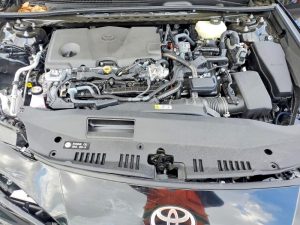 Auction Photos