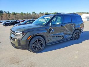 Auction Photos