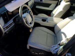 Auction Photos